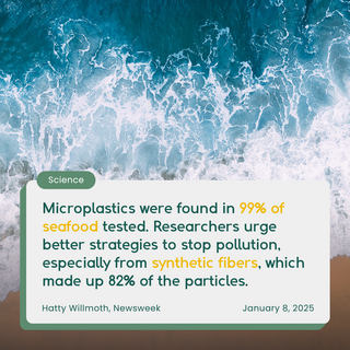 Microplastics in Seafood: A Growing Concern & How We Can Help