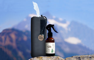 Wild & Pure Dry Wipes and EcoBalance Cleanser on a rock with Mt Hood in the background