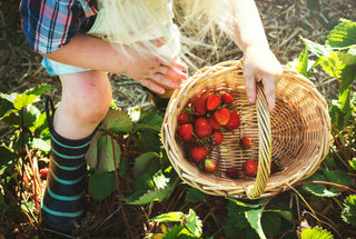 EcoBalance Cleanser is perfect for cleanups outdoors and on the go, like this girl picking berries